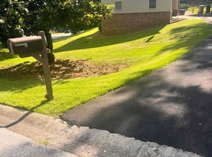 Denise G.'s Lawn Care service result