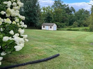 Patrick C.'s Lawn Care service result