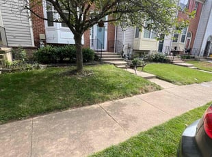 Christopher S.'s Grass Cutting service result