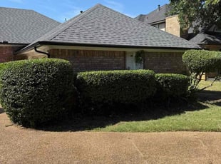 Bush Trimming by Maria Hernandez for Aaron M. in Grapevine, TX