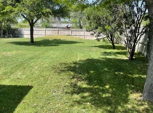 Stephen M.'s Lawn Service service result