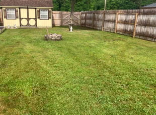 Karen H.'s Lawn Mowing service result