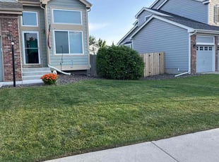 Bush Trimming by Jesse Nunez for Bradon E. in Aurora, CO