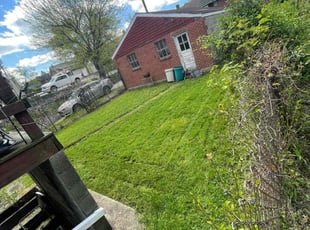 Rodney R.'s Lawn Mowing service result
