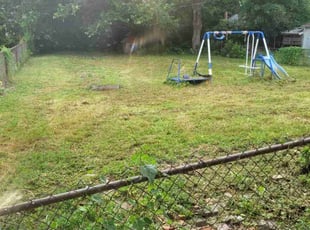 Cleanups by Joshua Pardue for Patricia W. in Indianapolis, IN