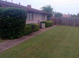 Bush Trimming by Valentina Toledo for Dani R. in DeSoto, TX