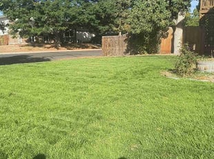 Pat D.'s Lawn Service service result