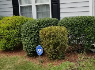 Bush Trimming by Kurtis Waters for Sarah -. in Matthews, NC