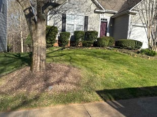 Ken M.'s Lawn Mowing service result