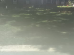 Cleanups by Michael Cherry for Lisa G. in Charlotte, NC