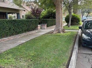 Leaf Removal by Jvon Robinson for Kathleen S. in Riverside, CA