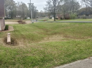 Leaf Removal by Joe Miller for Kenneth M. in Horn Lake, MS