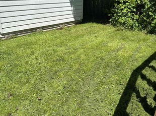 Ossie C.'s Yard Cutting service result