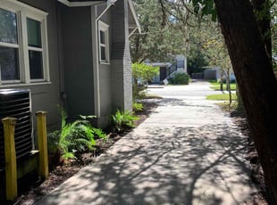 Bush Trimming by Naturallyp Bonsell jr for Cydney J. in Jacksonville, FL