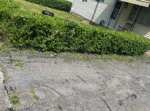 Bush Trimming by Errick Elias for Jenna A. in Buffalo, NY