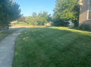 Steven G.'s Grass Cutting service result