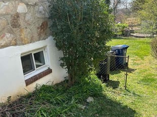 Bush Trimming by Fidel Rodriguez for Courtney H. in Alexandria, VA