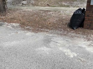 Leaf Removal by Luis Longa for Lorraine K. in Orlando, FL