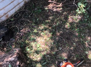 Cleanups by Ronnie Rios for Irene K. in Grand Prairie, TX