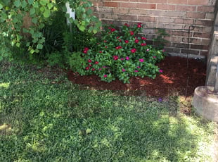 Landscaping by Dallas Johnson for Nicole J. in New Orleans, LA