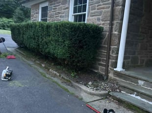 Bush Trimming by Askia Johnson for Thomas G. in Melrose Park, PA