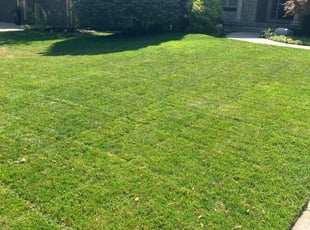 Karen R.'s Lawn Maintenance service result