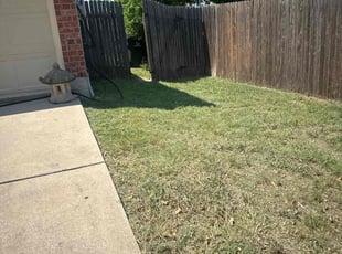 Brendon H.'s Lawn Mowing service result