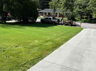 Dan M.'s Lawn Care service result