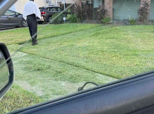 Weeding by Devonta Wooten for Phala M. in New Orleans, LA