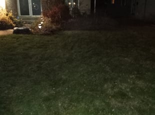 Leaf Removal by William Lafave for Matthew G. in Southfield, MI