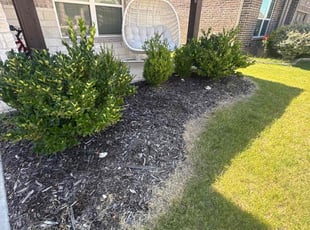 Weeding by JosΓ© Peraza for Ann M. in Celina, TX