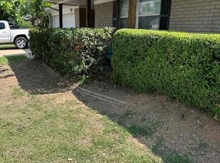 Bush Trimming by Miguel Meuniot for Christopher B. in Jenks, OK