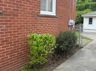 Bush Trimming by Shane Fellers for Bob C. in Livonia, MI