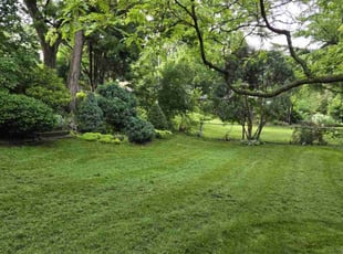 Jennifer N.'s Yard Cutting service result