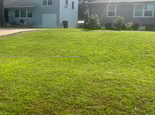 Vonetta W.'s Grass Cutting service result