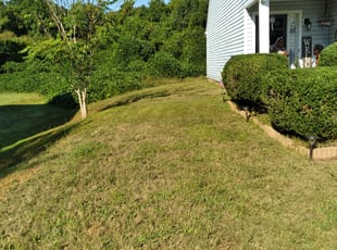Bush Trimming by Jeremiah Davis for Irene H. in Kannapolis, NC