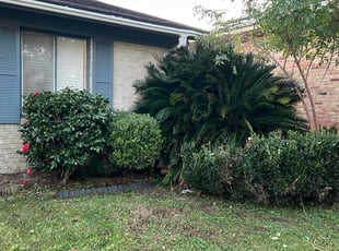 Bush Trimming by Juan Manson for Jayro m. in Terrytown, LA