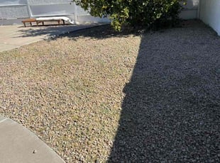 Weeding by Bobby Parris for Marco C. in Glendale, AZ