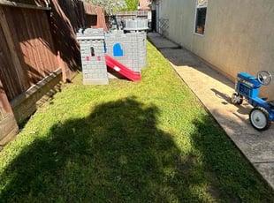 Johnny M.'s Lawn Mowing service result