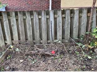 Weeding by Samuel Taylor for Dena J. in Milwaukee, WI