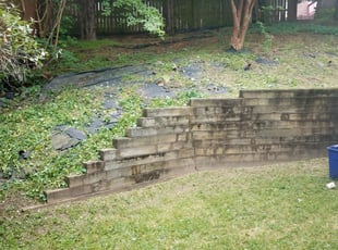 Weeding by Nathan Evans for James c. in Greenville, SC