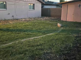Cleanups by Gustavo Sandoval for Chelsea K. in Phoenix, AZ