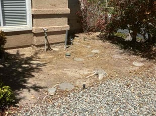 Leaf Removal by William Wise for Antonia H. in Palmdale, CA