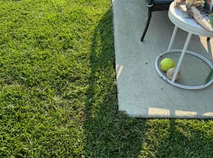 Stephany G.'s Lawn Maintenance service result