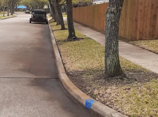 Leaf Removal by Jose Barrera for Christopher S. in Sugar Land, TX