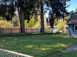 Stephanie G.'s Lawn Mowing Service service result