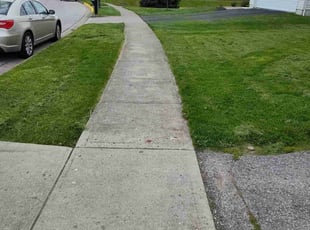 Will M.'s Grass Cutting service result