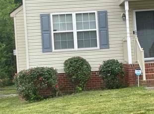 Bush Trimming by Arthur Haskins for Joshua A. in Richmond, VA