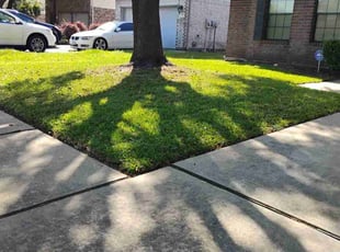 Scott J.'s Yard Cutting service result