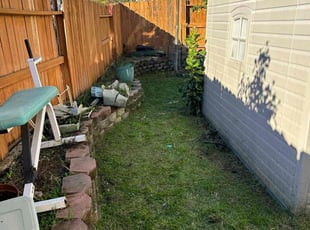 Cleanups by Luis Ocampo for Mae T. in Elk Grove, CA